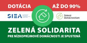 Zelená solidarita
